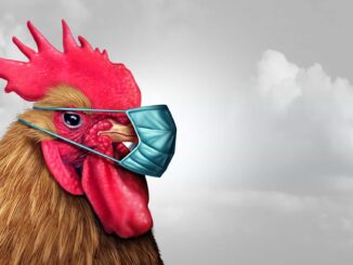 Bird flu