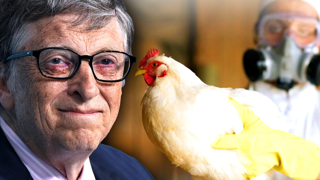 A Gates Foundation insider has revealed America's food supply will be deliberately infected with bird flu to spark the next pandemic and pave the way for Bill Gates' next money-spinning vaccine to conquer the global market.