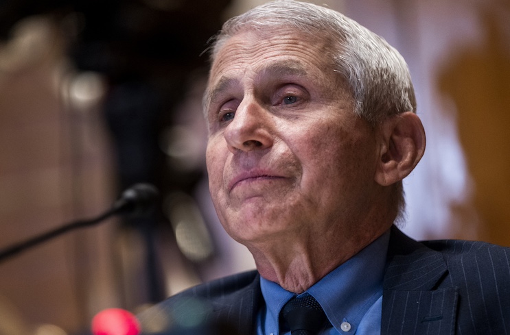 Fauci could serve prison term for lying to Congress yet again.