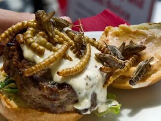 Democrats sign WEF treaty to begin hiding bugs in U.S. food supply