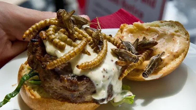 Democrats sign WEF treaty to begin hiding bugs in U.S. food supply