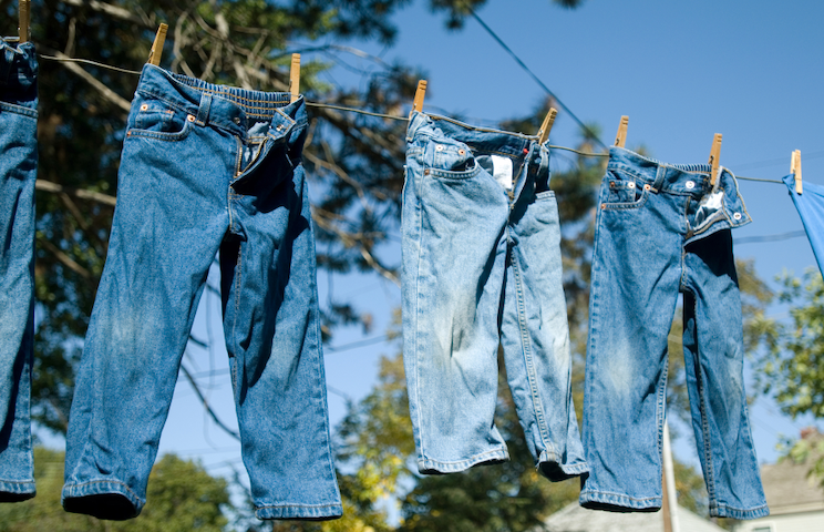 Wearing jeans is causing global boiling, according to WEF-funded scientists.