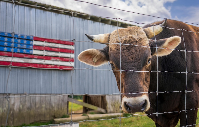 WEF provision sneaked into Omnibus Bill will see beef supply rationed in America.