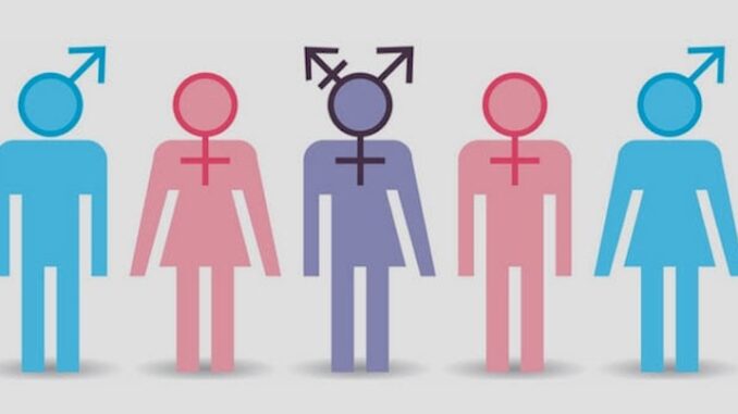 Scientific American declares it is misinfo to say there are only two sexes.