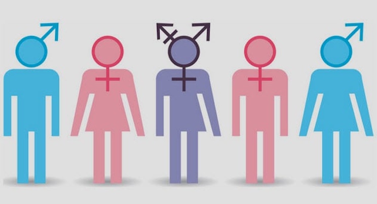 Scientific American declares it is misinfo to say there are only two sexes.