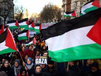 Palestinian flags