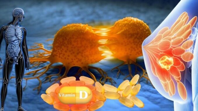 Official study shows Vitamin D is effective at destroying cancer cells.