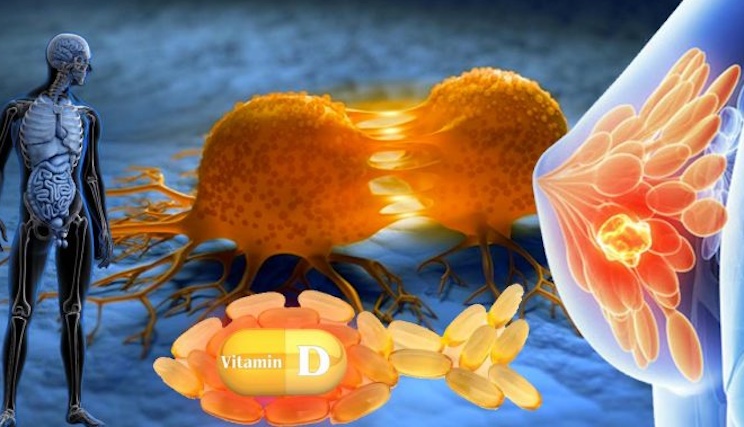 Official study shows Vitamin D is effective at destroying cancer cells.