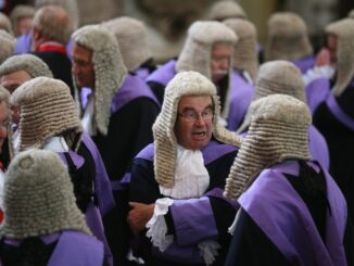COURT wigs