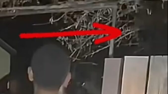 Experts confirm video showing eight-foot-tall aliens in Las Vegas is actually real.