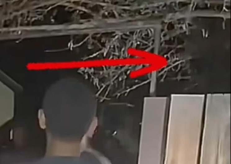 Experts confirm video showing eight-foot-tall aliens in Las Vegas is actually real.