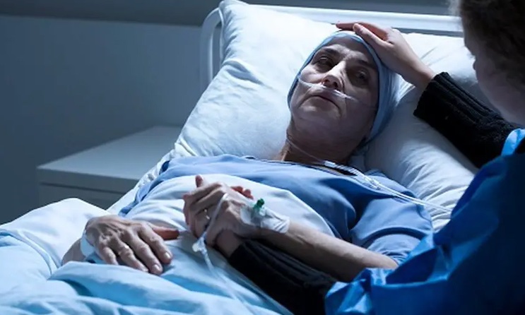 Chemotherapy causes widespread cell destruction and death, study finds.