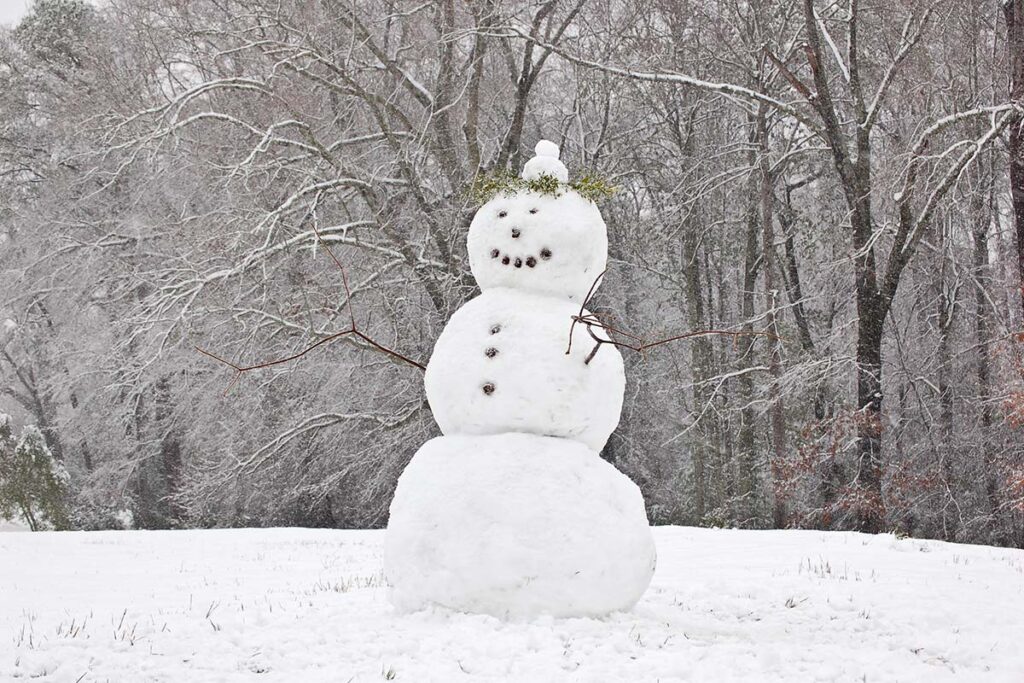 colder snow man