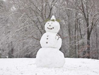 colder snow man