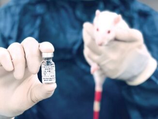 Scientists confirm COVID jabs cause autism in lab rats.