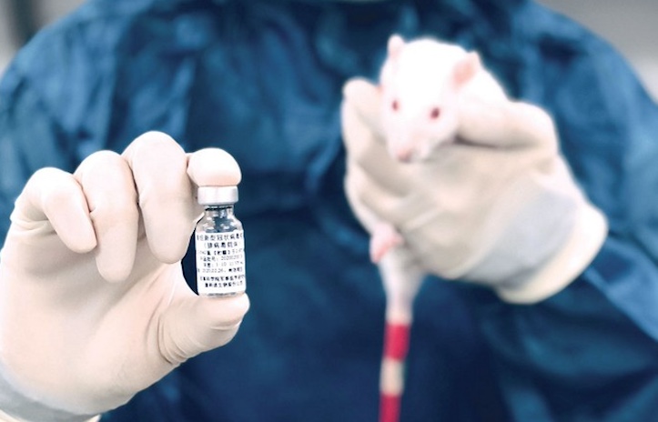 Scientists confirm COVID jabs cause autism in lab rats.