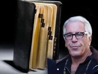 New Jeffrey Epstein book that names VIP pedophiles being sold online