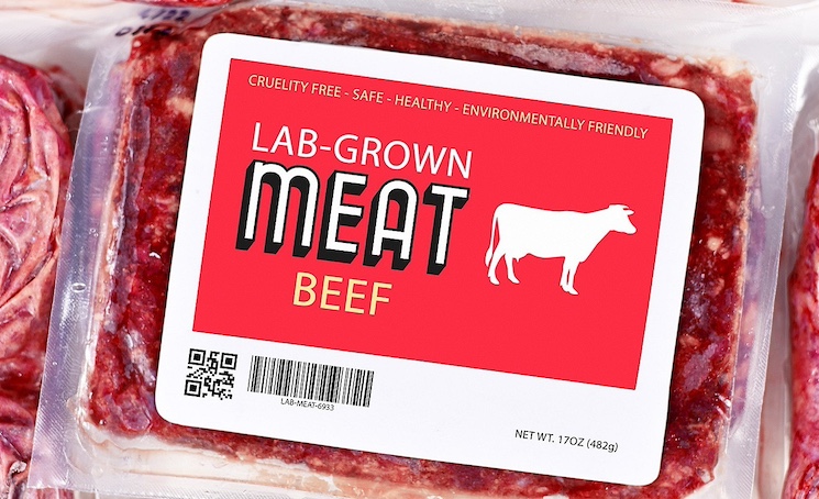 Florida bans lab grown meat