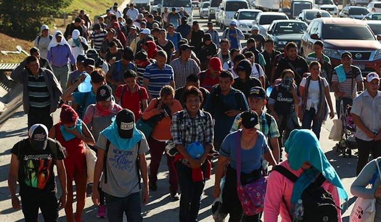 Biden regime to offer Gaza refugees free green cards to come to America.