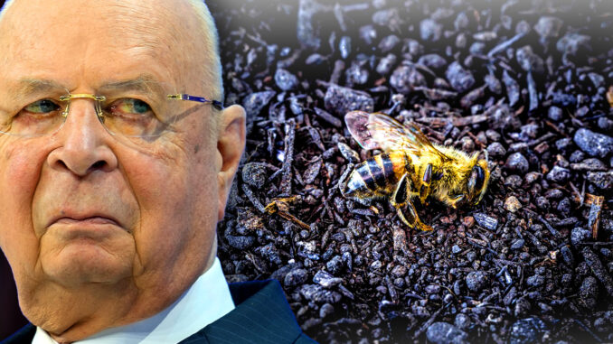 World governments have been ordered to crack down on honey bees as the globalist elite escalate the war on farmers and prepare the groundwork for the devastating global famine that insiders have warned us about.