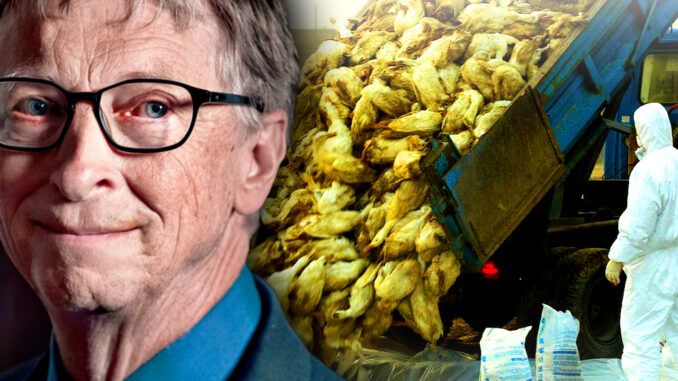 Food rationing and lockdowns have arrived in Australia as the WEF puppet government lays the groundwork to plunge the masses into starvation, and Australians pay the price for allowing the government to confiscate their guns without a fight.