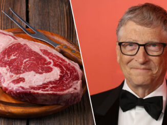 fake meat Bill Gates