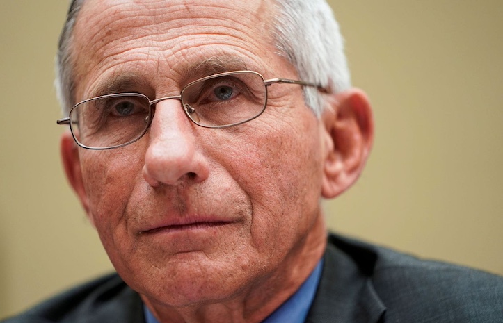 Fauci admits elite did follow same pointless rules as rest of the public.
