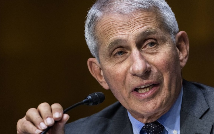 Fauci blames free speech for mass rising up against globalists