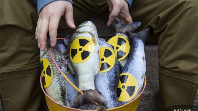 Fukushima fish