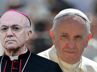 Vigano and the Pope