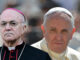 Vigano and the Pope