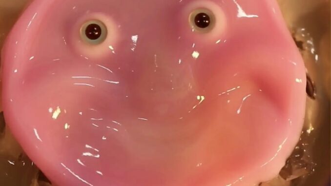 WEF scientists unveil smiling robot made from real human flesh.