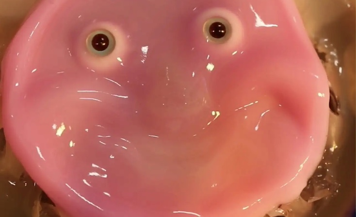 WEF scientists unveil smiling robot made from real human flesh.