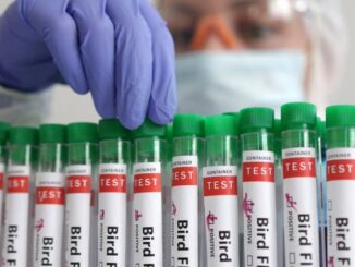 Finland mandates bird flu vaccine for citizens.