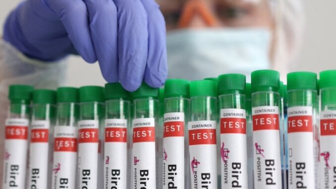 Finland mandates bird flu vaccine for citizens.