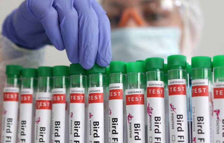 Finland mandates bird flu vaccine for citizens.