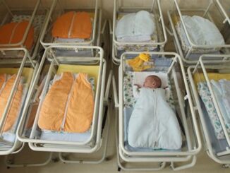 Study concludes sperm rates have plummeted since Covid jab rollout.