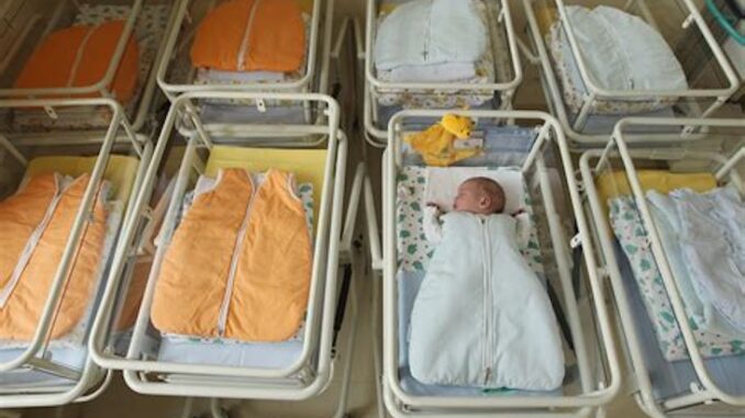 Study concludes sperm rates have plummeted since Covid jab rollout.