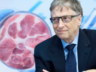 Bill Gates' fake meat linked to premature death, study finds.