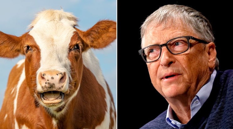 Bill Gates unveils climate vaccine