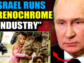 Russian special forces have liberated dozens of children from an Israeli-registered ship, as President Putin's war against the global adrenochrome industry kicks into high gear.