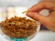 insect food mealworms