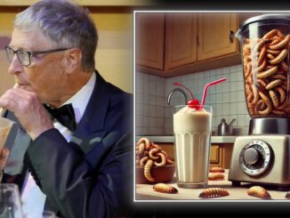 Bill Gates calls on government's to replace cow milk with maggot milk.