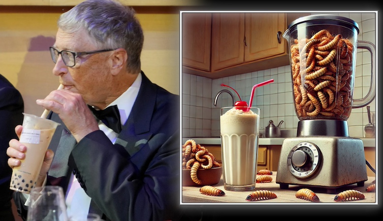 Bill Gates calls on government's to replace cow milk with maggot milk.