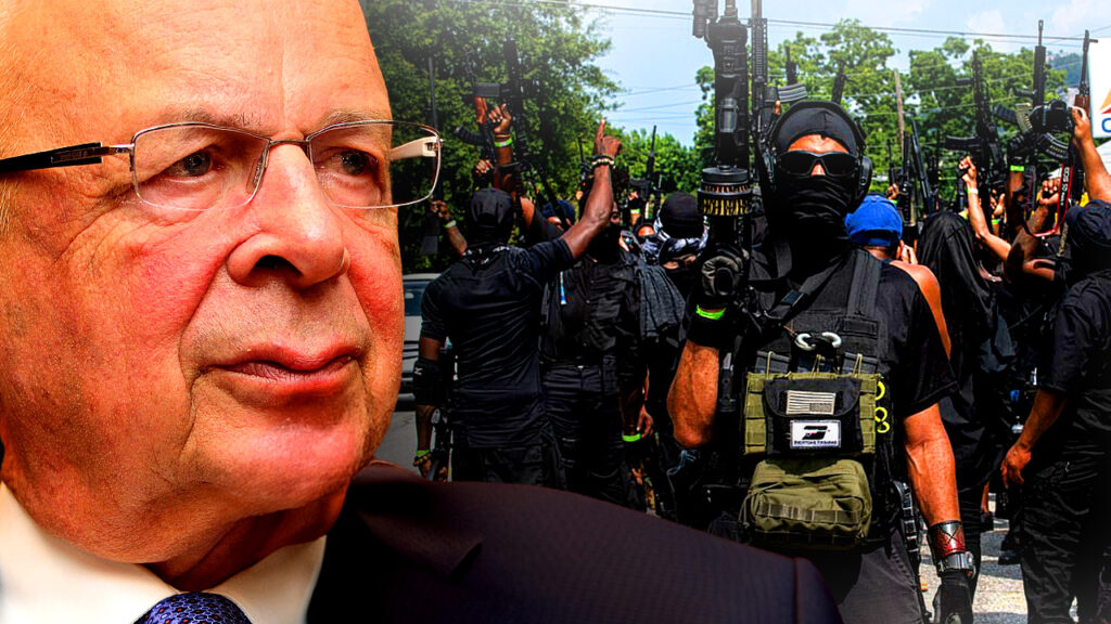 The World Economic Forum in Davos has ordered global authorities to radically reduce the number of white people in the world by 2030.