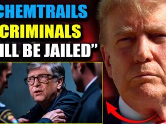 In a groundbreaking development, the Trump transition team are preparing to authorize officials to arrest elite figures allegedly involved in the covert operation of spraying chemtrails to manipulate weather patterns, control populations, and disperse harmful toxins, including aluminium and barium.