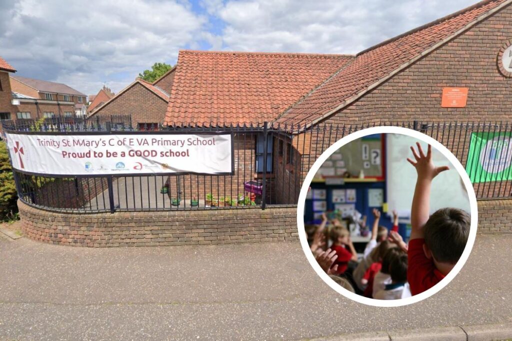 Pprimary school