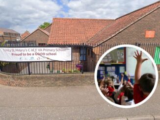 Pprimary school