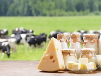 meat and dairy