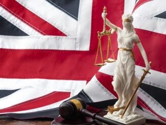 British child rapist spared prison to save space for anti-establishment protestors.